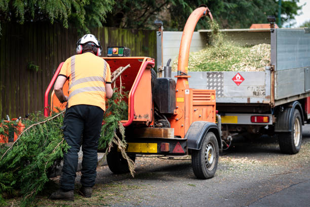 Best Lawn Watering Services  in Buchanan Dam, TX